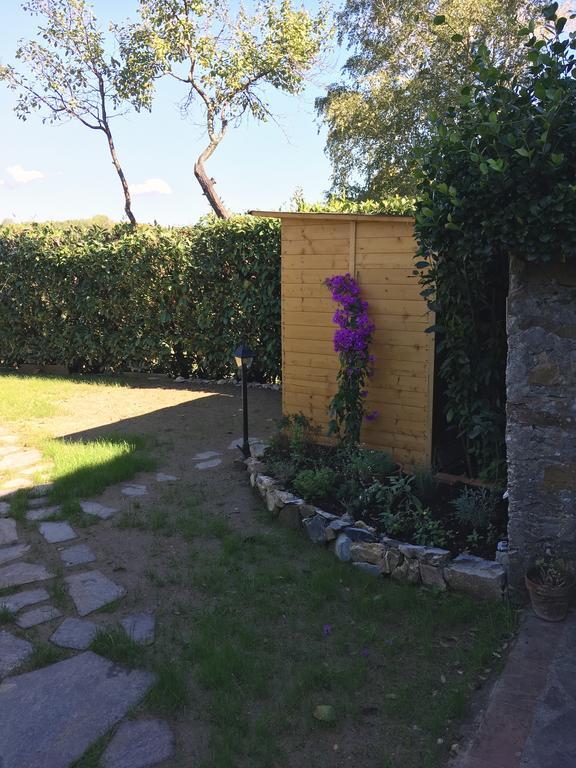 Casa Bouganville Massa Macinaia Esterno foto